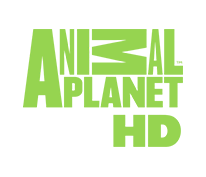 Animal Planet